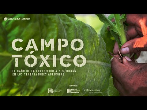 Teaser | Campo Tóxico: el daño de los pesticidas en los trabajadores del campo