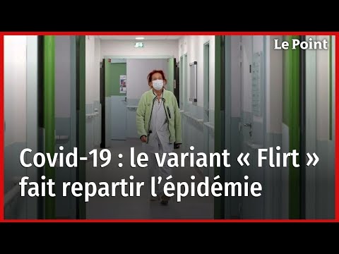 Covid-19 : le variant « Flirt » fait repartir l’épidémie