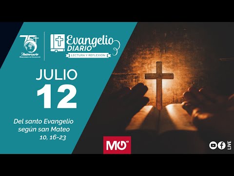 Lectura y reflexión | 12 de julio 2024 | Del santo Evangelio según san Mateo: 10, 16-23.