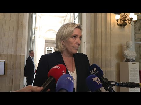 On a vraiment le sentiment que ces élections n'ont servi à rien, dit Marine Le Pen | AFP Extrait