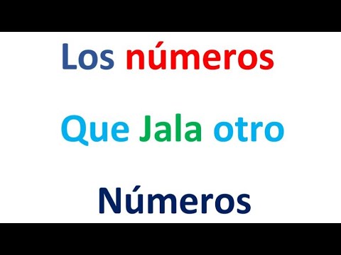 Los números que jala otro número para ganar dinero en la lotería, EL CAMPEÓN DE LOS NÚMEROS