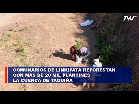 Comunarios de Linkipata reforestan con más de 20 mil plantines la cuenca de Taquiña