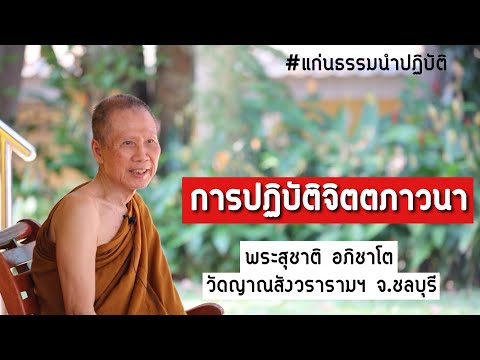 การปฏิบัติจิตตภาวนา:พระอาจารย์