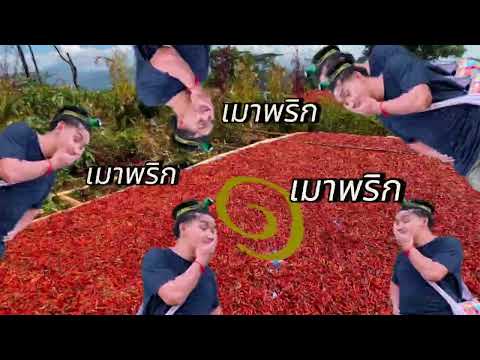 ขึ้นดอยบ้านเกิดในรอบ1ปีEP:2ไ