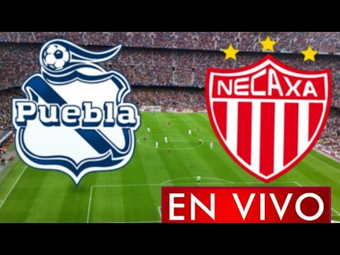 Donde ver Puebla vs. Necaxa en vivo, por la Jornada 8, Liga MX 2021