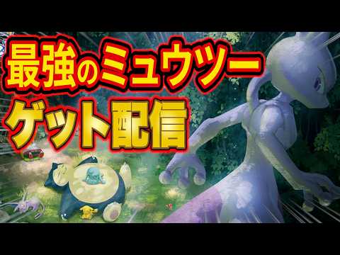 【神個体ゲット】ポケスリで最強のミュウツーをゲットする伝説の睡眠リサーチ配信【ポケモンスリープ/Pokémon Sleep】