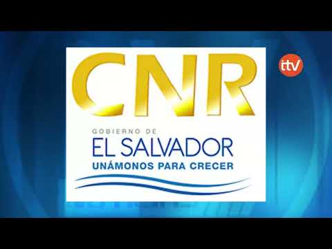 CNR ha realizado innovaciones digitales para agilizar procesos