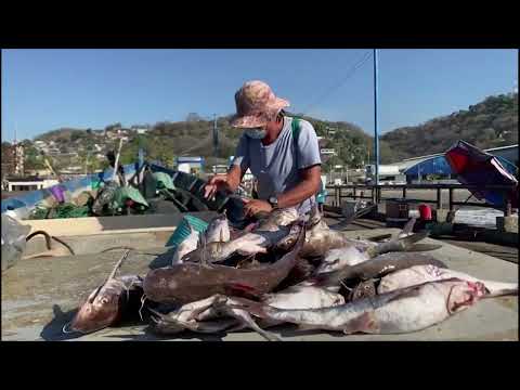 Reducción de pesca artesanal