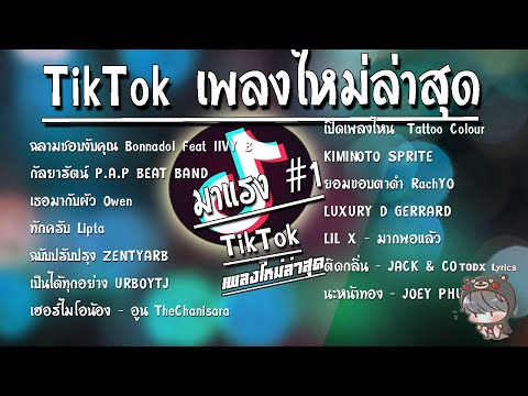 รวมเพลงฮิตในTikTokล่าสุดรวมเ