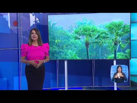 Recorrido de noticias internacionales - El Noticiero emisión meridiana 04/10/24