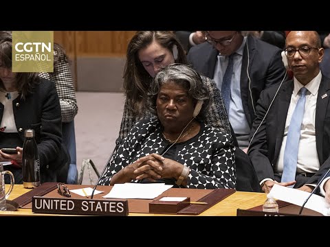 EE. UU. veta proyecto de resolución del Consejo de Seguridad que pide tregua humanitaria en Gaza