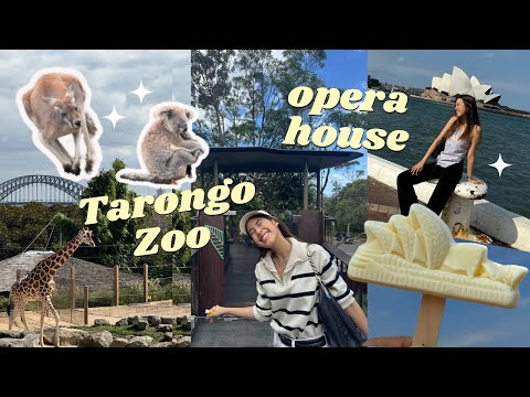เที่ยวสวนสัตว์Tarongoและในที