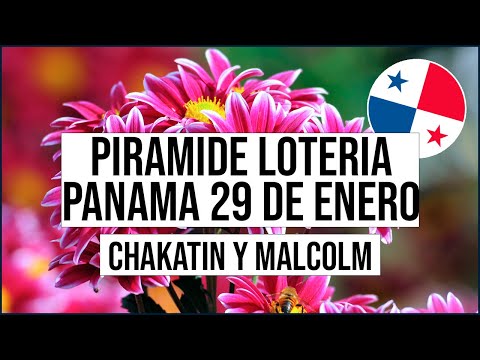 Pirámide Lotería de Panamá Domingo 29 de Enero 2023  - Pirámide de Chakatin y Malcolm Ramos