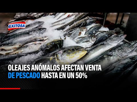 San Martín de Porres: Oleajes anómalos afectan venta de pescado hasta en un 50%