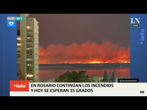 Siguen los incendios en el delta del Paraná: se esperan temperaturas mayores a los 35 grados