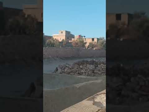 هيك صباح من #حيش بيسوى مال الدنيا 😃💚