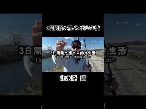 【3日間霞ヶ浦バス釣り生活】北水路のデカバスを狙う！ #ショート