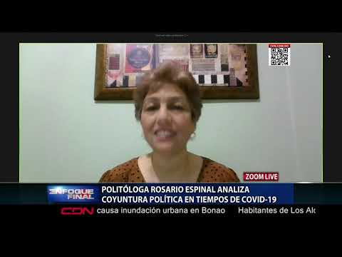 Politóloga Rosario Espinal analiza coyuntura  política en tiempos de Covid-19