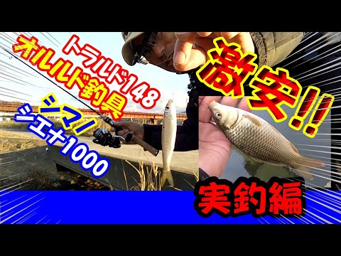 【大阪・初冬の小物釣り・オイカワ】石川＆大和川にて激安トラウトロッド・オルルド釣具トラルド148に激安シマノのシエナ1000番スピニングリールでオイカワ・ニゴイ・鯉っ子釣ってみたら良かったぞ！