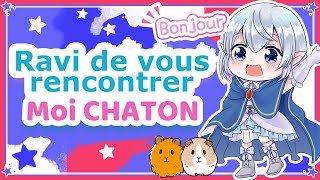 Bonjour, je suis Moi CHATON