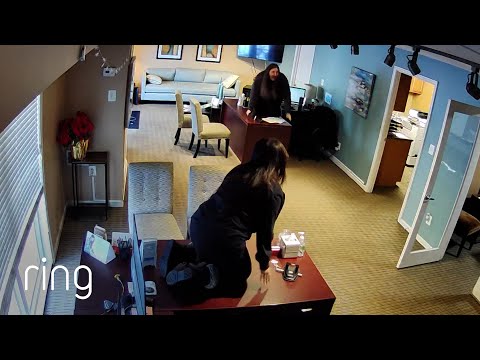 Rogue Squirrel Causes Office Chaos! | RingTV