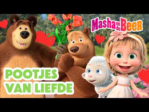 Masha en de Beer 👱‍♀️🐻 Pootjes van liefde 🐾💌 Valentijnsdag ❤️ Aflevering collectie 🎬