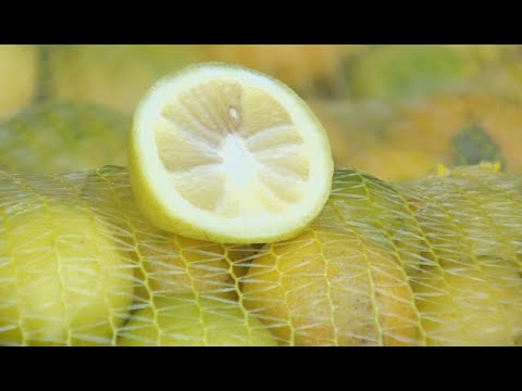Limones: ¿Cómo conservar el jugo por más días
