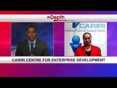 In Depth With Dike Rostant - CARIRI Centre For Enterprise Development