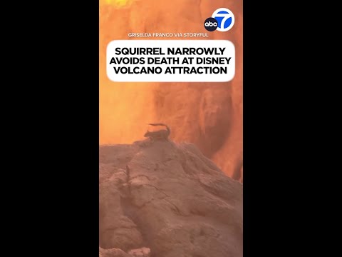 Squirrel narrowly avoids death at Disney volcano attraction