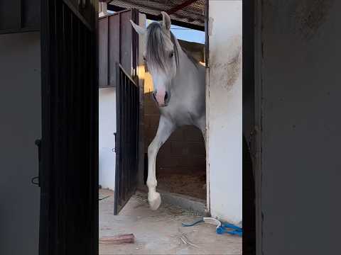 استمرار الافعال استمر