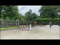 Show jumping horse Nout vd watermolen