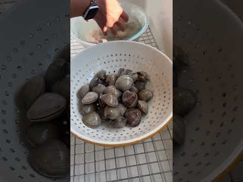 How to easily clean your clams out of any sand or grit!