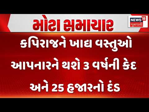 Ahmedabad News | કપિરાજને ખાદ્ય વસ્તુઓ આપનારને થશે 3 વર્ષની કેદ અને 25 હજારનો દંડ | Gujarati News