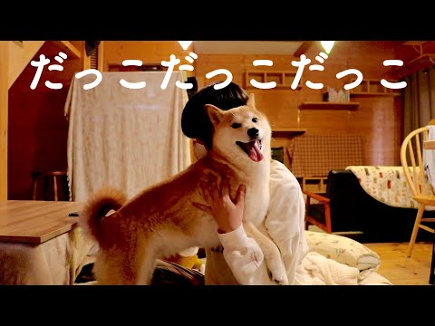 突然震えだしママにしがみつく柴犬が可愛すぎて悶絶しました。