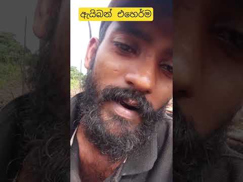 ඇයි බං එ