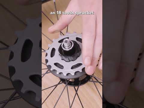 How to Fit the cassette on the Advance Brompton four speed gear system PT2