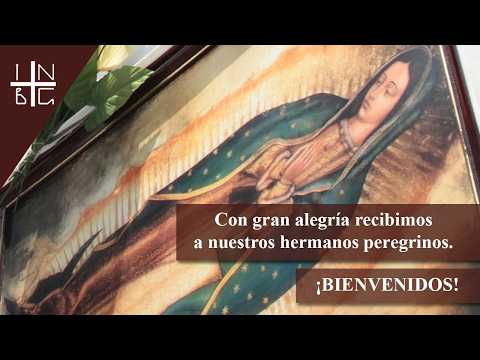 Peregrinación, Diócesis de Ciudad Guzmán, Jalisco, 7 de abril de 2026, 10:00 h.