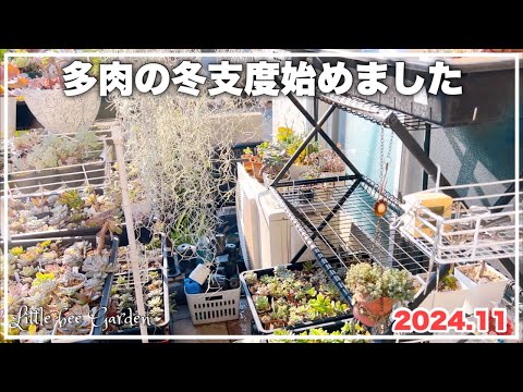 【多肉植物】そろそろビニールハウスも準備しなくちゃ【ガーデニング】