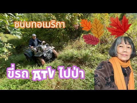 สามีฝรั่งพาซ้อนท้ายATVเข้าป่