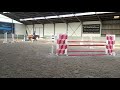 Show jumping horse Werkproject BWP Ruin