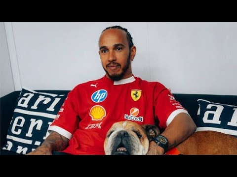 💎【おすすめ①(感動・拡散系/王道)💔ルイス・ハミルトン、愛犬ロスコーへの“涙のレゴ・トリビュート”😭💞 ファンの愛が奇跡を起こした…🐾🏎️✨