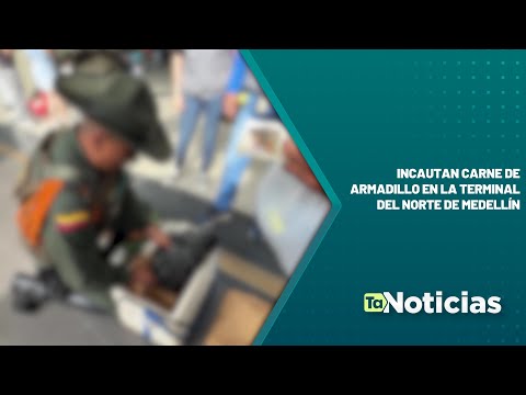 Incautan carne de armadillo en la Terminal del Norte de Medellín - Teleantioquia Noticias