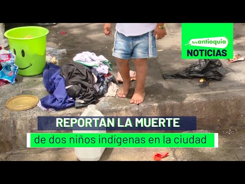 Reportan la muerte de dos niños indígenas en la ciudad - Teleantioquia Noticias
