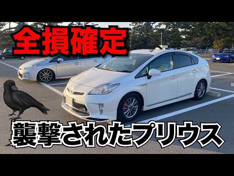 襲撃されたプリウス！全損確定！！