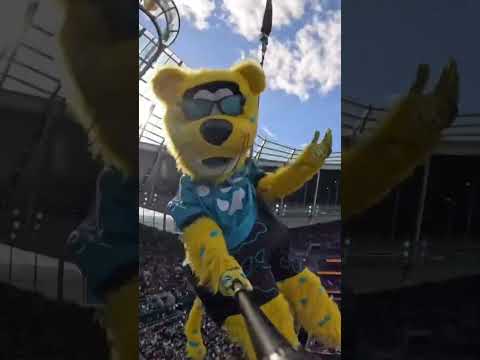 La mascota <strong>de</strong> <strong>de</strong> los Jaguars se aventó desde lo más alto <strong>del</strong> Estadio <strong>del</strong> Tottenham 🤯🐆⚽️ #Shorts
