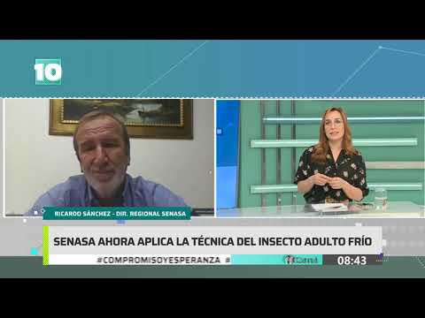 #Noticias10 | Senasa aplica la técnica del insecto adulto frío