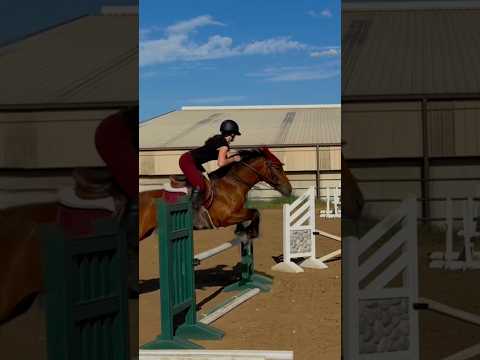 what is it with me and bad distances.. #horse #horseriding #equestrianriding #riding #pony