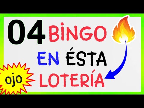 BINGO HOY..! # 04 # ÉXITOS.! loteria LEIDSA para HOY/ PALÉ Y SÚPER para GANAR las LOTERÍAS éste DÍA