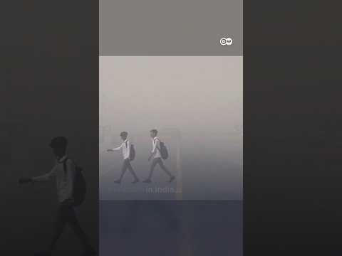 New Delhi shrouded in smog | DW News