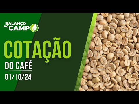 COTAÇÃO DO CAFÉ - 01/10/2024